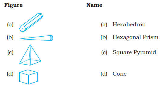 Page 199 Chapter 6 Class 8th NCERT Exemplar Page 199 Chapter 6 Class 8th NCERT Exemplar